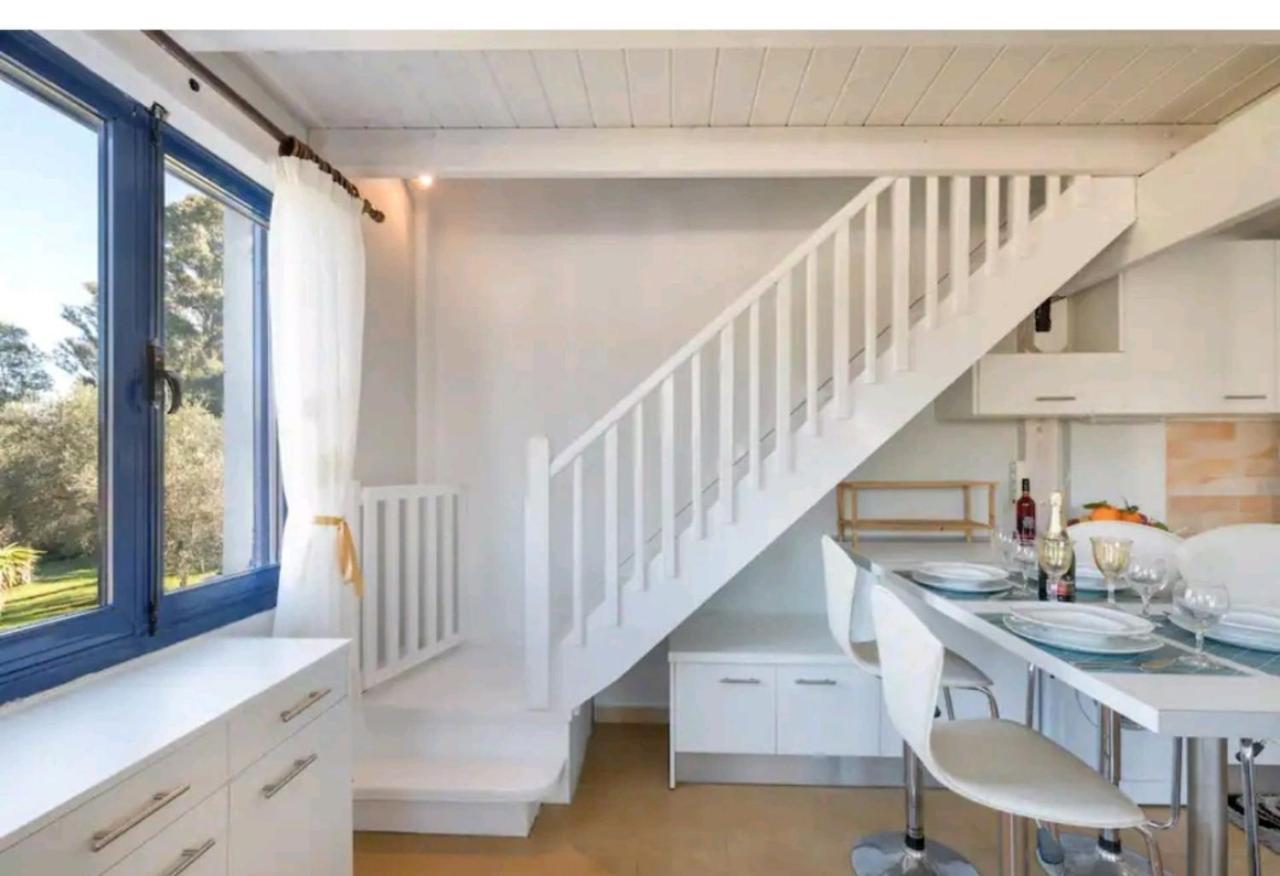 Govino Bay Luxury Beach Loft Apartment Δανίλια Εξωτερικό φωτογραφία